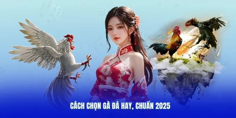 Bí Quyết Chọn Gà Đá Hay - Nhà Cái Uy Tín Lần Đầu Bật Mí